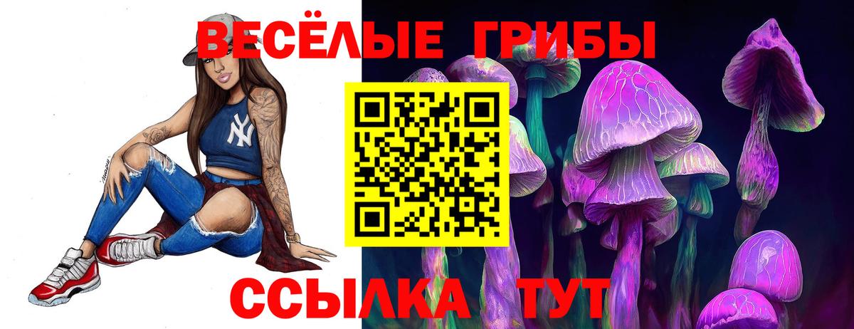 Псилоцибиновые грибы мухоморы Нововоронеж